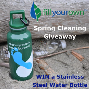 spring cleaning giveaway BPA free stainless steel water bottles spring cleaning giveaway BPA free stainless steel water bottles